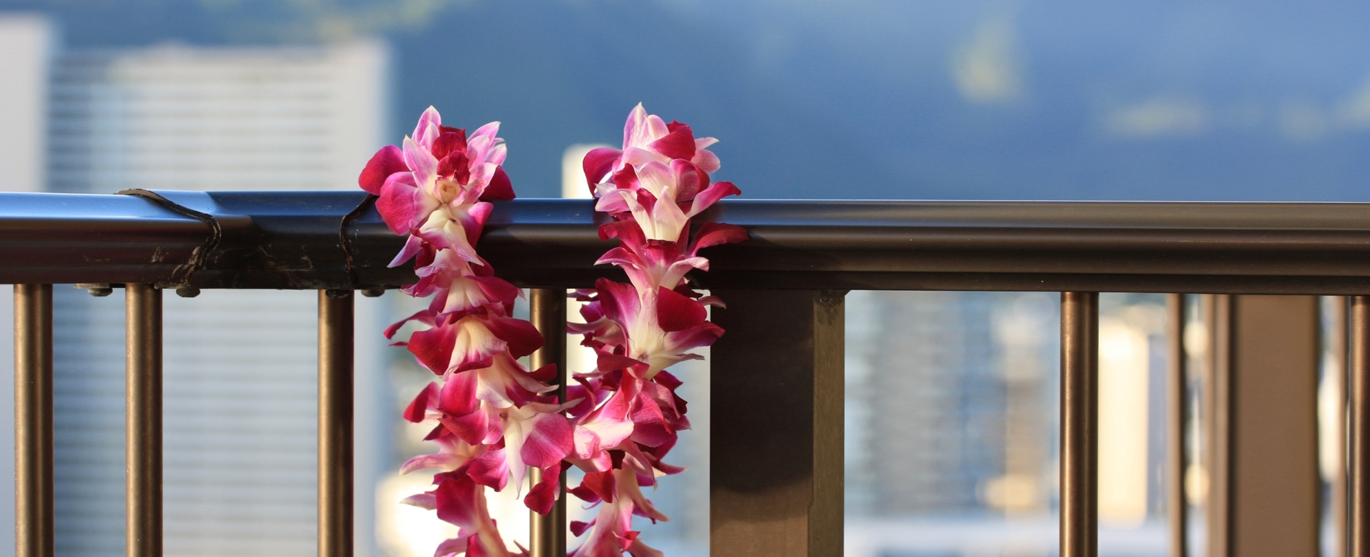 Purple orchid lei hanging on balcony railing 